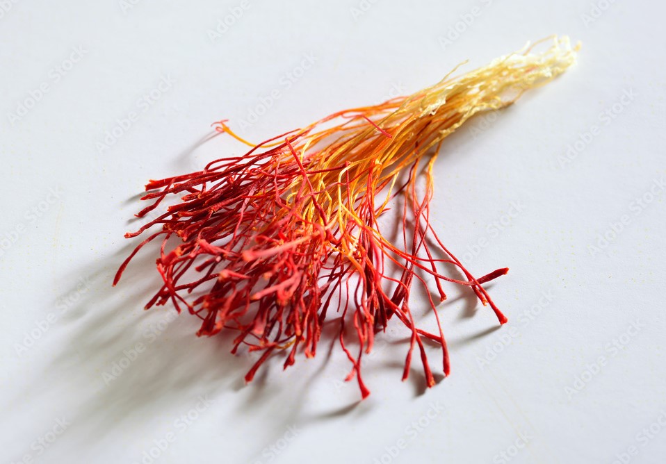 Irani Saffron suppliers in india, Premium Irani Saffron suppliers in india, Irani Saffron suppliers in india, Aaditya Traders, Irani Saffron suppliers in india