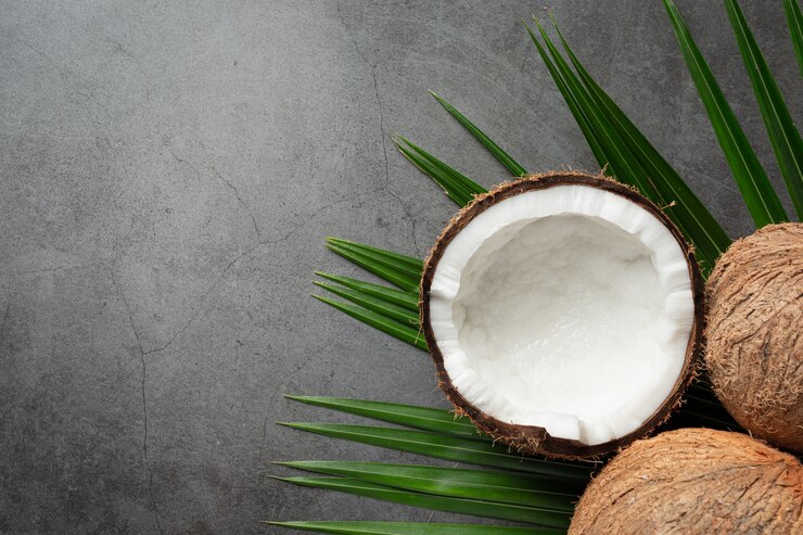 Coconut suppliers In India, Coconut Suppliers In India, Aaditya Traders Suppliers In India, Best Coconut Suppliers In India, Best Suppliers In India, Premium Suppliers In India, Coconut Supplier In India