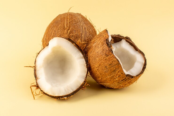 Coconut suppliers In India, Coconut Suppliers In India, Aaditya Traders Suppliers In India, Best Coconut Suppliers In India, Best Suppliers In India, Premium Suppliers In India, Coconut Supplier In India