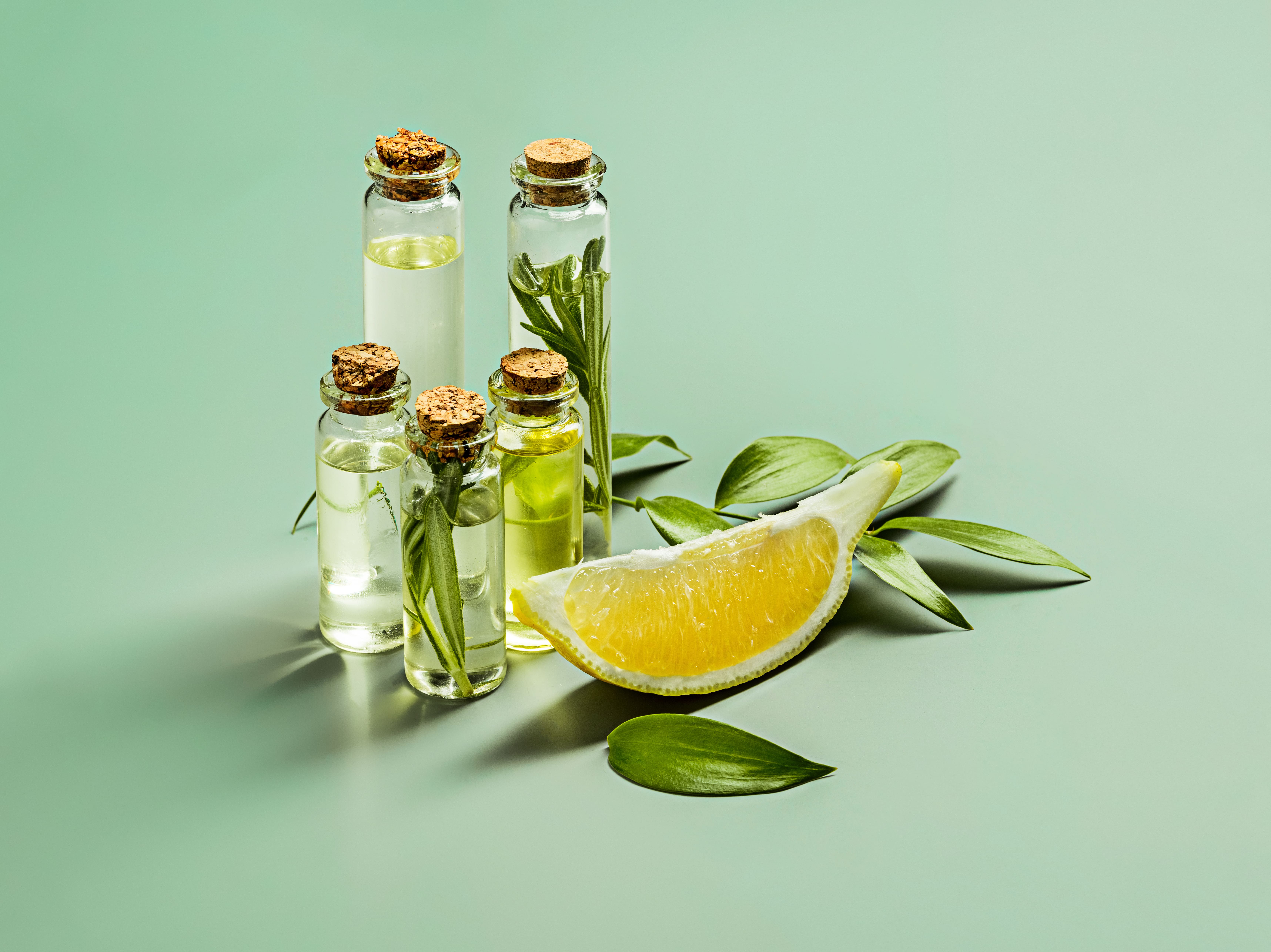 Essential Oil product suppliers in india, Premium Essential Oil suppliers in india, Essential Oil suppliers in india, Aaditya Traders, Essential Oil suppliers